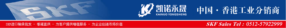 SKF�S����̖��ȫ